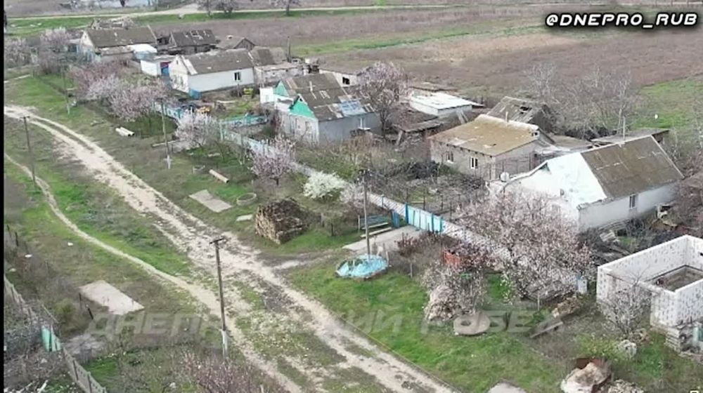 ����������� ����� �����. ���������� �����������