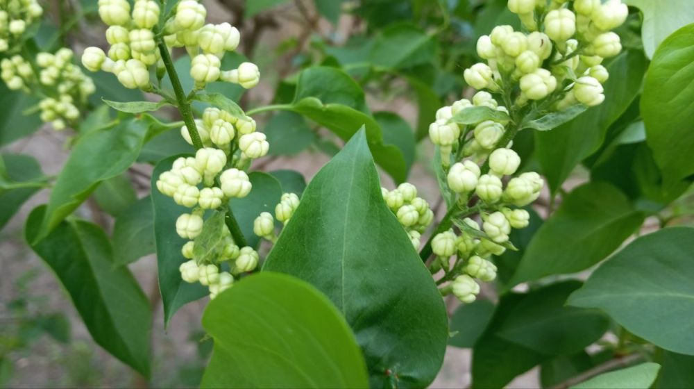 �� �������� ������� - � ����������� ����� ������ �������� ��� ����� � ��� - ������ ��� ���?