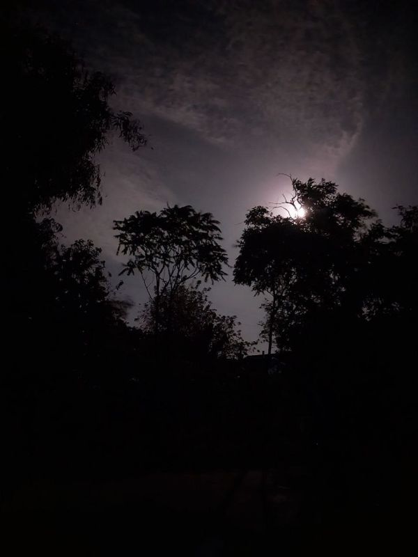 ������ �����, ������!. ������������ ������� ��������� � �������� �� �������. ����������� �� ������ ������� �������������...