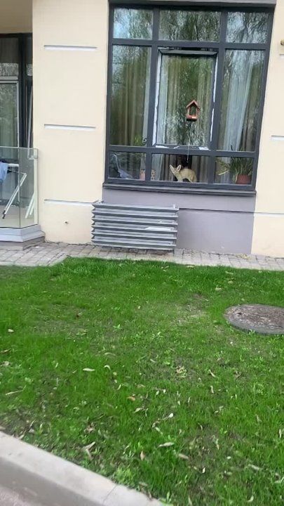 �������, ��� �������� ����� ������� ���� �� �������, �� ����� ������ ���. ������ ������������ �� ����� � ������� � ����������