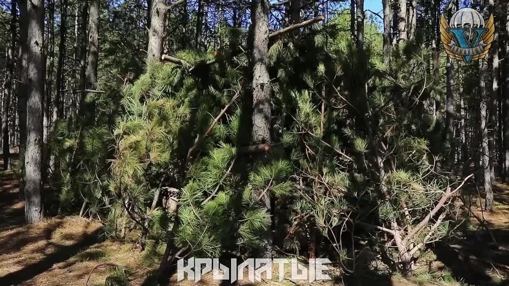 ������������� ��� ���������� ����������� ���������� � ���� ��� ���������� �������� ����� 10 ������������� ��� �� ������