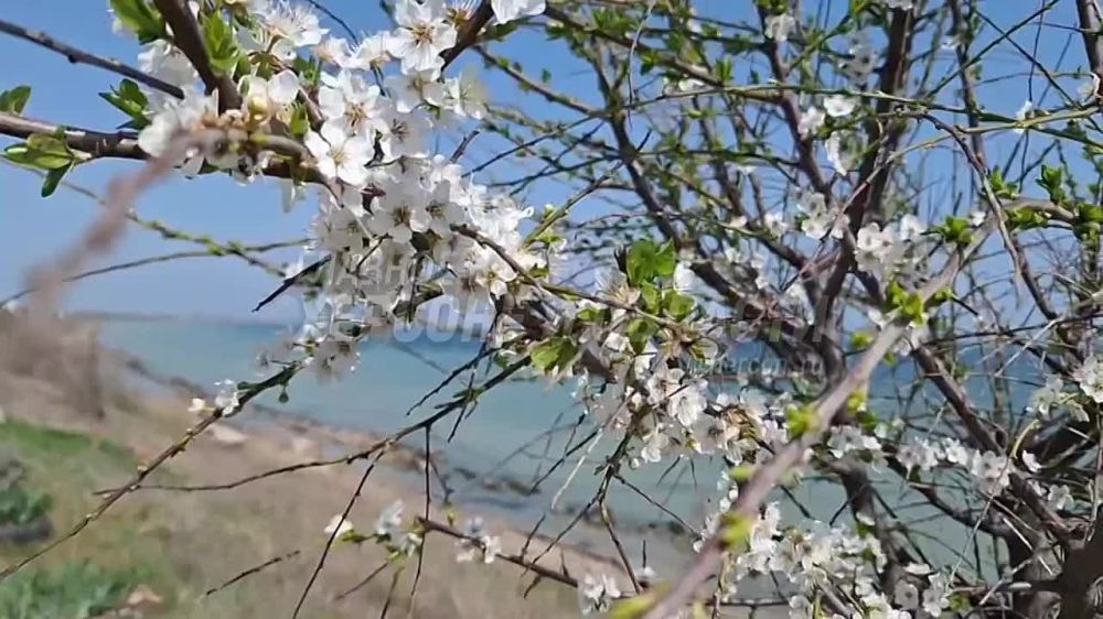 ������ ��������� ������������ �������� ��������� ������