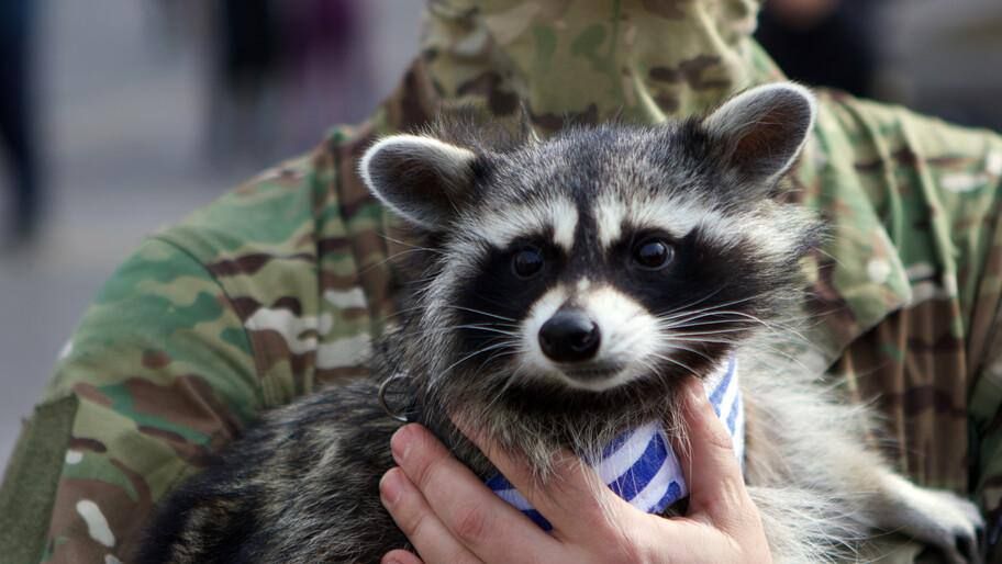 ����������� ���� ������ � ����� ������ ���������������� �������