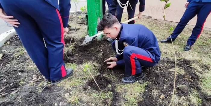 � ����������� ����� ������������������ ������ ������ ����� "������ �� ��� ������"