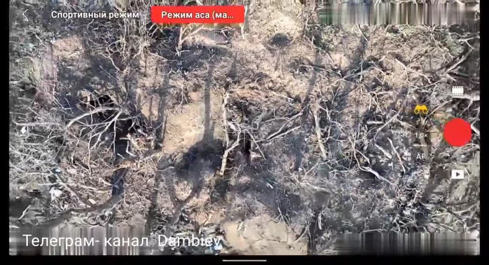 ��������� 14 ������� ��� �� �� "���������" �������� � ��������� �� �������� ���������� ������������ �� ������������ �����������