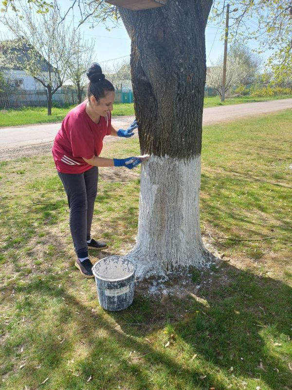 � ������ ���������� ����� "� ������� � ������ �� ������ ������� �����", 11 ������ 2024 ���� �������� � ���������� ���� ��...