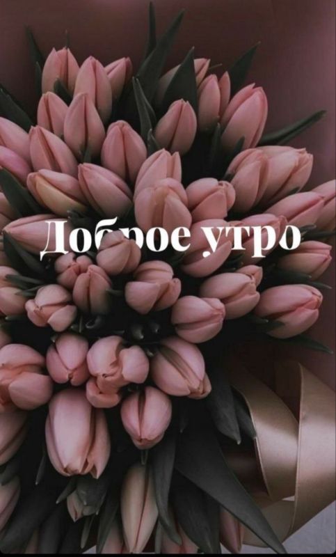 ������ ����. ������� ����� ������ � ������� ����� ����������� �� ���������� ����� ���. ��� �������. ����������� �� +11 ����� �� +28 ���