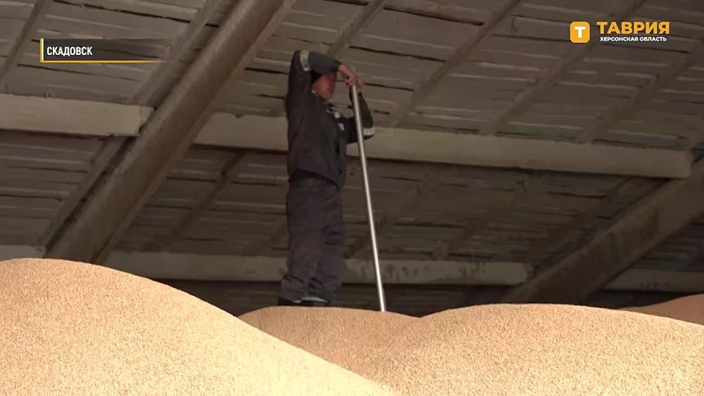 ����������� ������ ������ �������� ����� ���������� ������� ��������� ��������� � �������