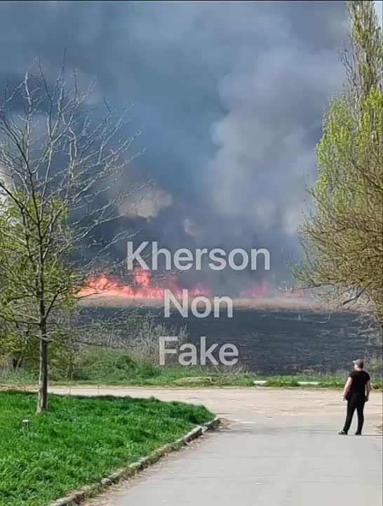 ������. ���������. ����� ������. ��� ������