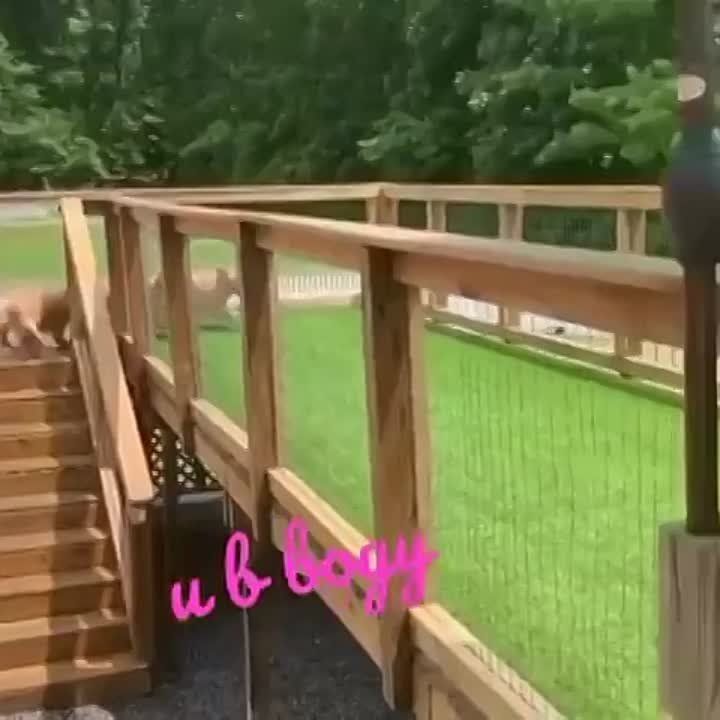 ���� �������� ���������� � ���������� ���