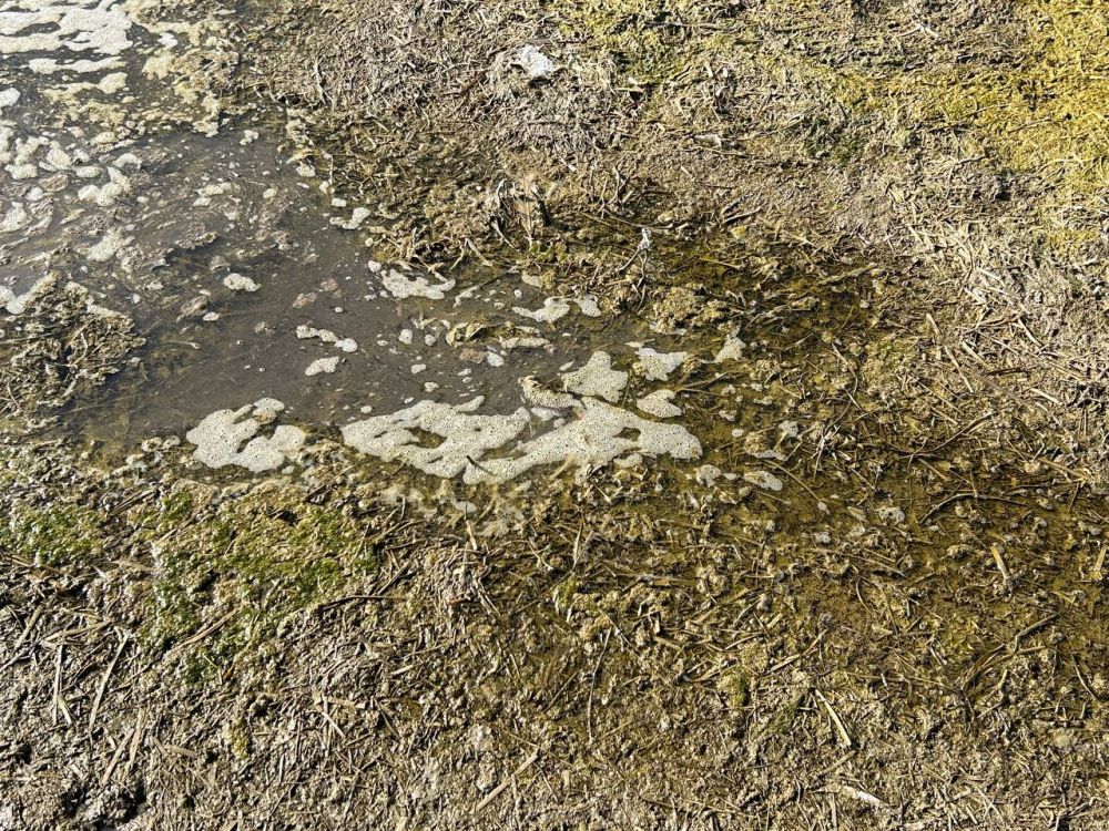 ��� �����.. "���������� � ���������� ������ ���������"