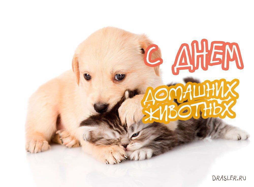 ��������� 11 ������. ������������� ���� ������������ ������� ���������� �����������