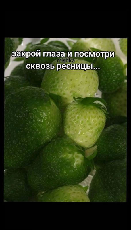 ��� �� �������?)