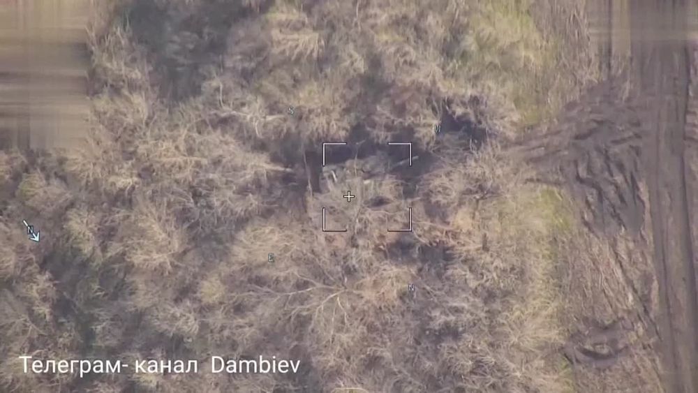 �������� 36 ����� ����������� "������" �� �� �� ������� �������� ������������� ����������� "������" ��������� ���������� ���� �-64�� �� ������������ �����������