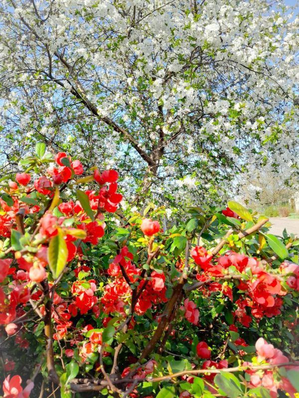 � ������ �����, �����������!