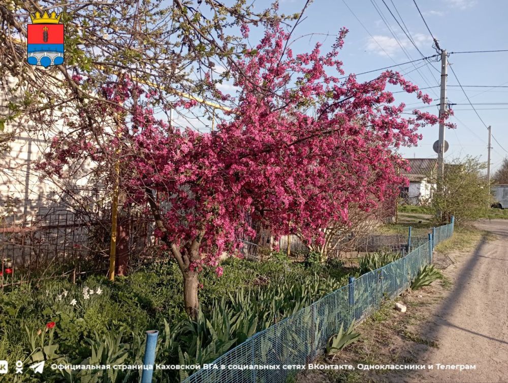 ������ ����, �������!. @VGA_Kakhovka