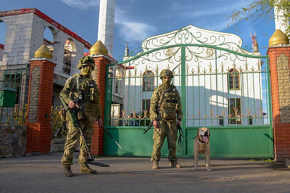 ���������� ���������� ������������ ������� � ����� �������� �� ����� ��������� �����-������