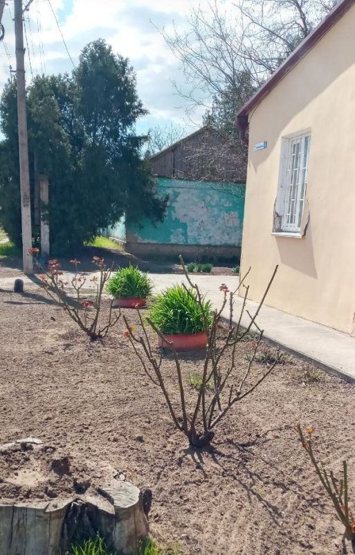 ������ � ������������� �������� �����