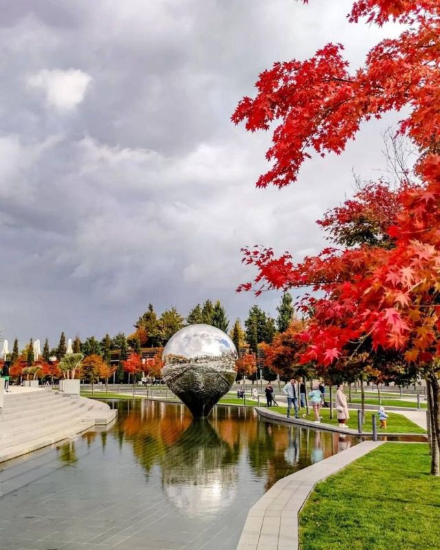 ���� ���������, ���������, ������������� ����