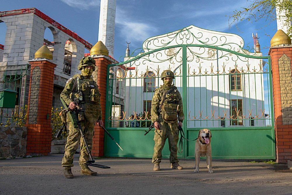 ���������� ���������� ������������ ������� � ����� �������� �� ����� ��������� �����-������