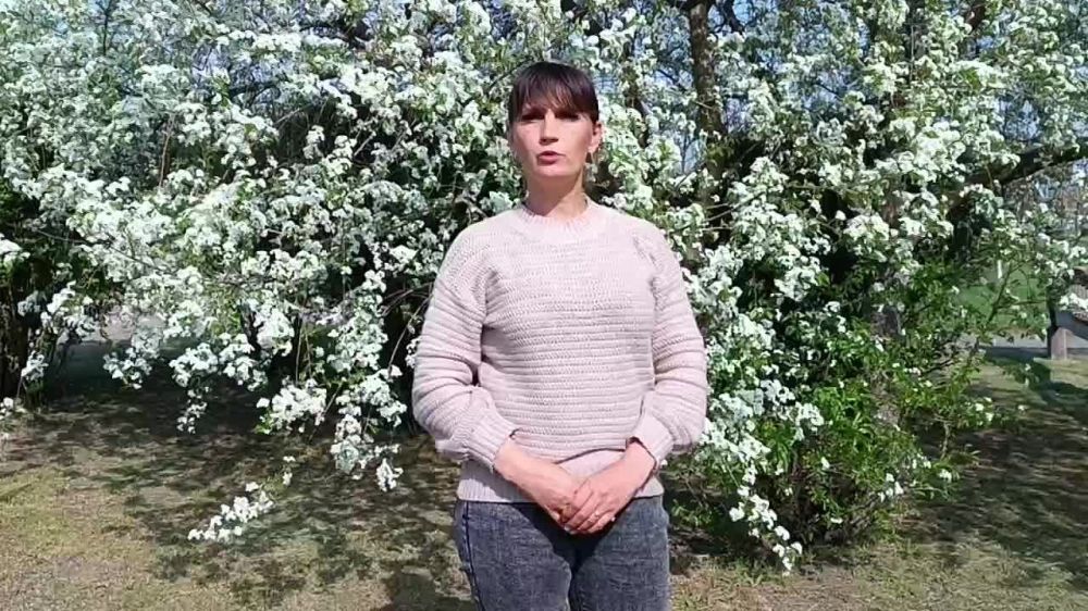 � ������� ����� ����������: ����������� ����������� ������������ � ���������������� ���� ��������