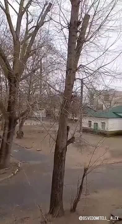 ������. ������. ������ �����