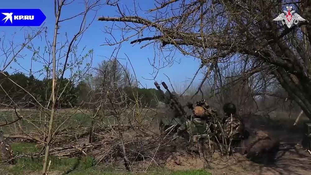 ���������� � ���� ��� �� ���������� ����������� 12 ������ 2024: ����� ������� ���������� ������������ �����