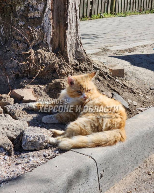 ������ ���� ��������, ������ ���� �������� � ���������� ������ ��� ������������ ������