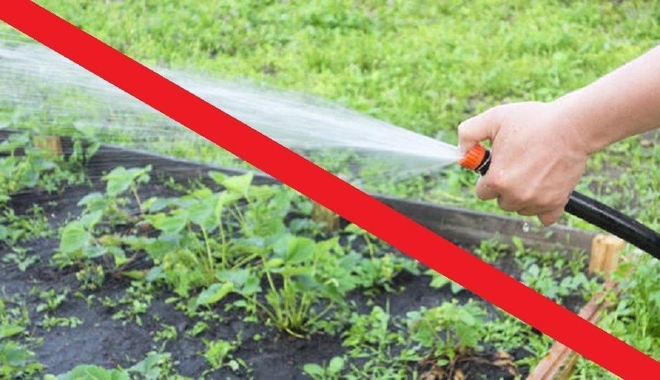 ��������� ������ ����������������� �������������� ������!