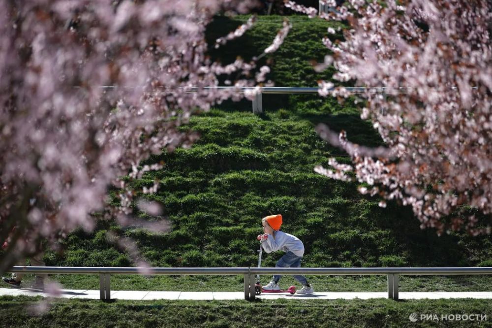 ������ �� ����� ����������� ������