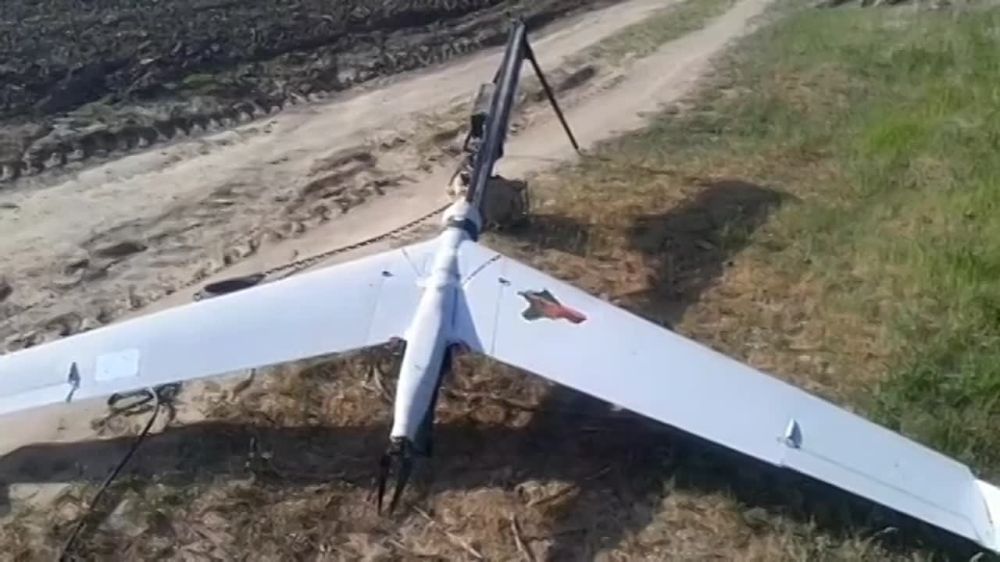 � ��� ��������� ������� ������, ��������� "Zala"