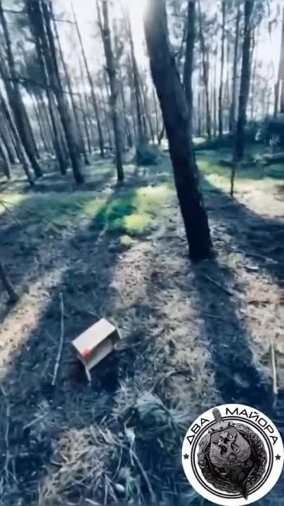 ��� ������: ���������� �����������. ������