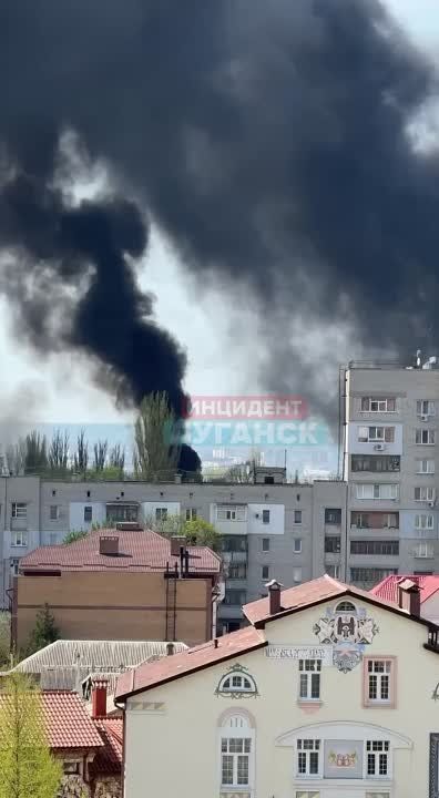 ������ ����� ���� ����������� ��� �������