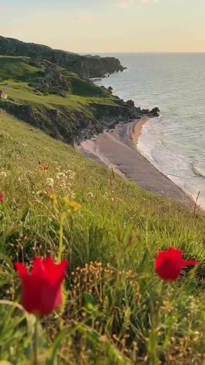 �������� ���� � ������ - ��� �������, ������� ������ �� ������� �����������