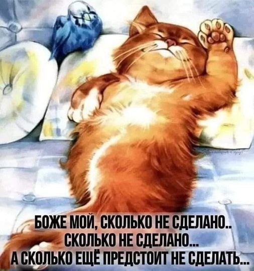 ������ �����, ������!. ������ ��������� ���� �� ������� � �����������. ���� �������� � ������, ���������� ������ �������������. ��� ��� � ������ ���� � ��������� ���� ���� � �� �������, �� �������, �� ����� ���� ��� ��������� � ������ ����� ������