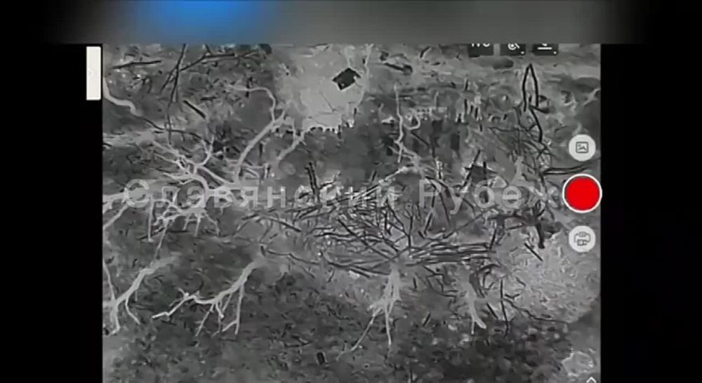 ������� ���� �� 34 ������� �� ��, ��� ����� ���������� �������� ����������