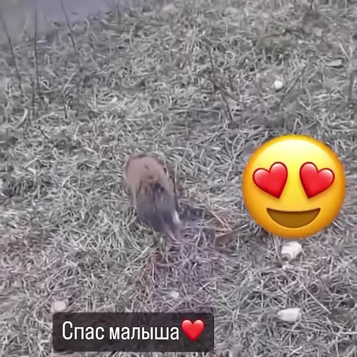 ������������ ����� �� ��������� ������� �� ���������� ����� � ��������������