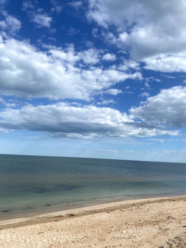 ����� ����������: ������ ����, ������!. ����� ������������ ����� � ��������� �� ������ ����: ������� ��� ������������ �������� ������������� �� ���������� ����������� ������� ��������