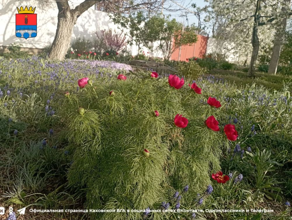 ������ ����, �������!. @VGA_Kakhovka