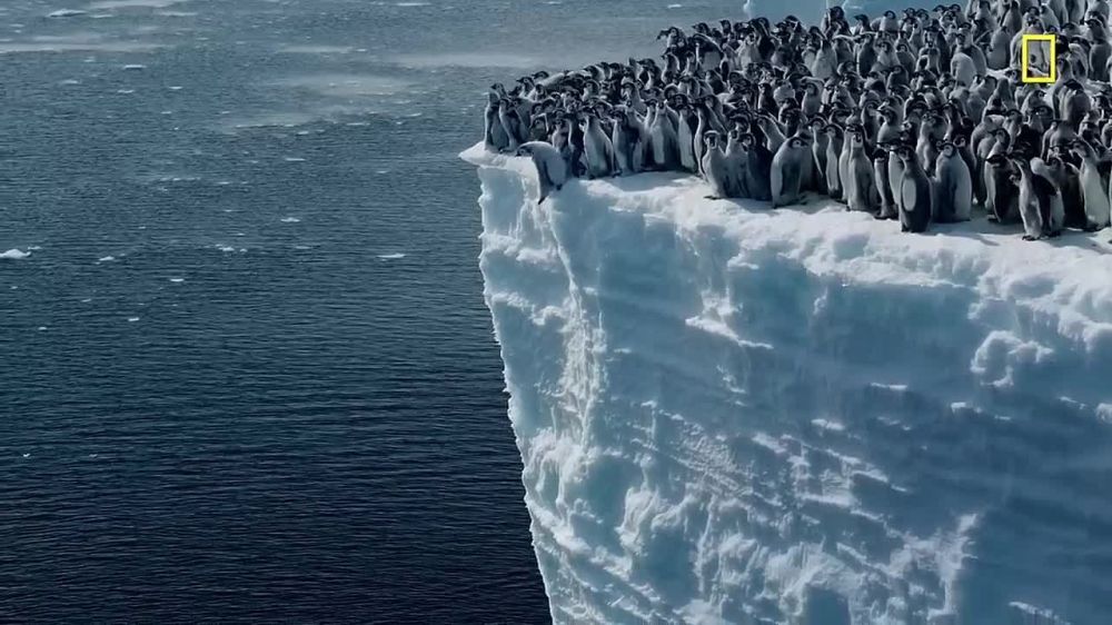 ������ �������� � ������ �����: �������� ��������� ������ ������� � ���� � 15-�������� ������