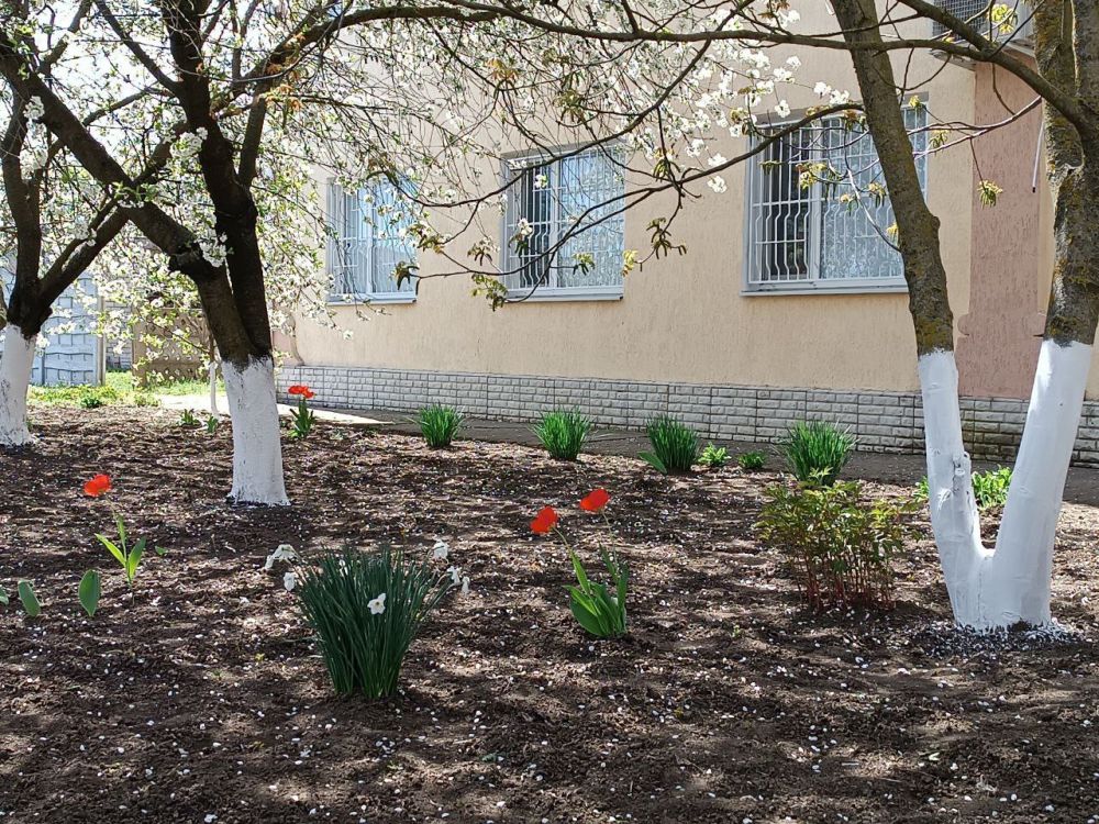 ����� ��������: ���������� ������������� ������������������ �� ����� ����� �� ���������!