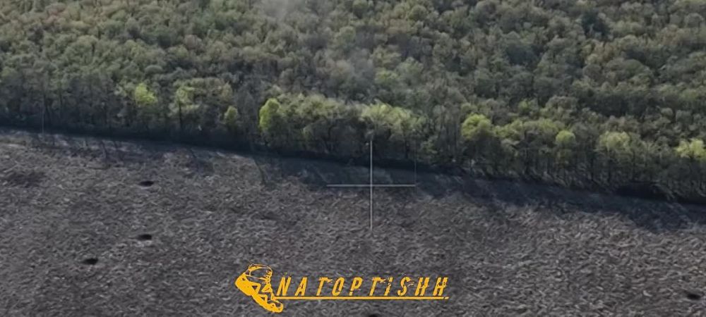 ����� ����������� ��������� ��������������� ������� ���������� ������� ����� ���������� ������ ������ ������ �� �������� �������� � ������������ ������