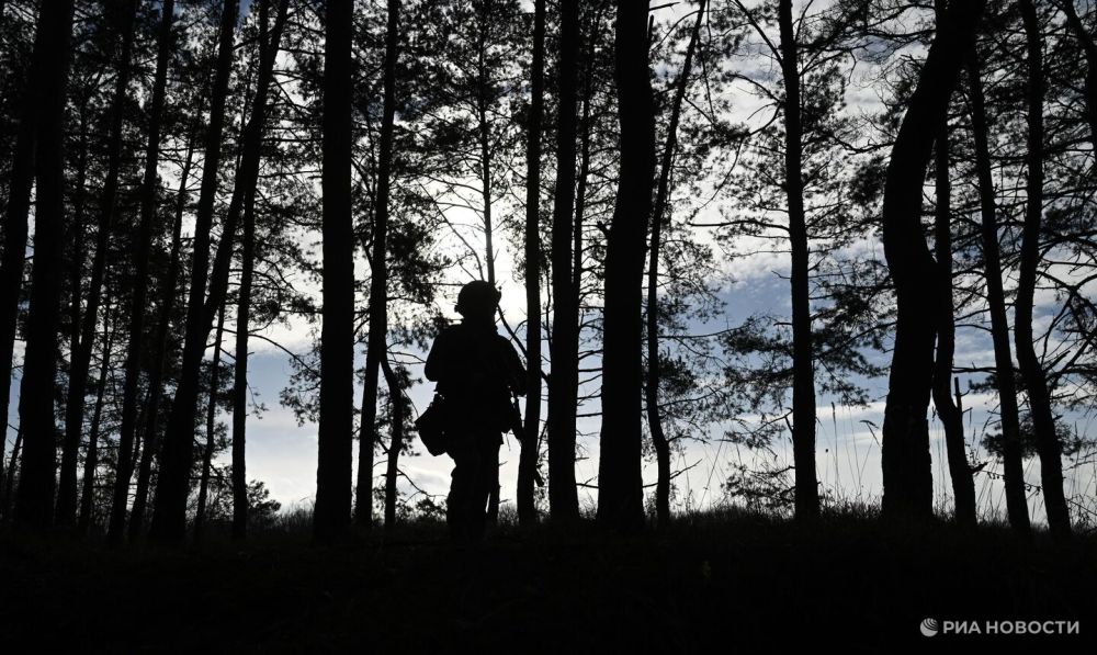 ���������� ������ �������� ������� � �������� � � ������ ���������