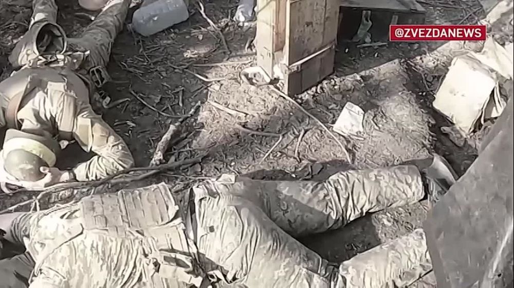 ���������� �������������� 25-� ��������� ��������-��������� ������� � ������� ������������� ������� � ���� �� �� � ������ ����������� ������ ������� �� ���������� �����������