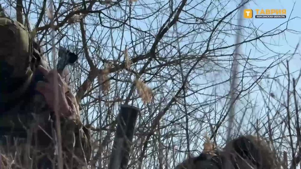 ���������� �������������� ���������� ��������� ������� �� ������ ������ ������