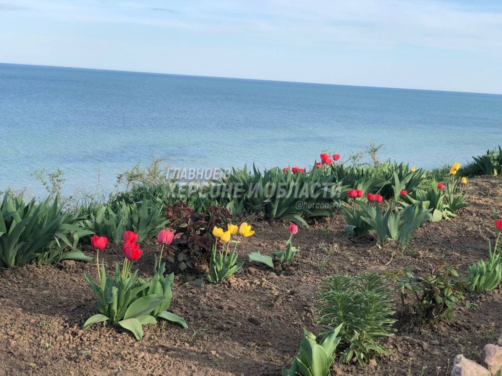 ���������� �������� � ��� �������� ����������� � �������� ����������