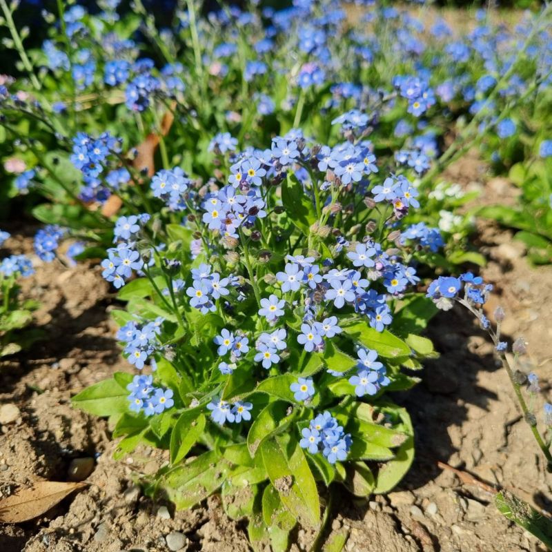 ����������� ������� � ����� �� ���������� ������������� ����