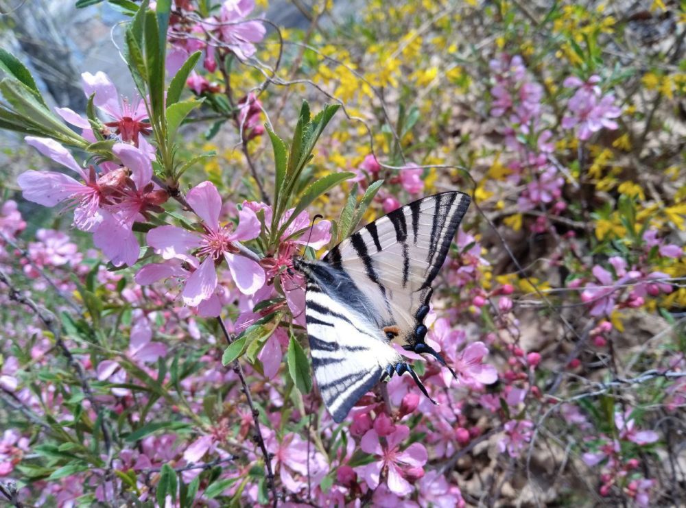 ����� ��������: ������ ����, ������� ������ ���������� ������!