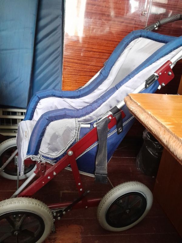 ������� ������ ��������