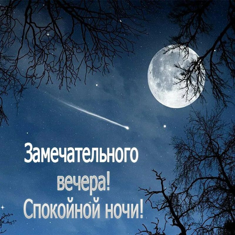 ������ ����. ������ ���� ����� �������� - � ������ ���� ���� � ������� ��������� ��������, ������� ����������� �� �������� ������. ��� �������. ����������� �� +15 ����� �� +24 ���